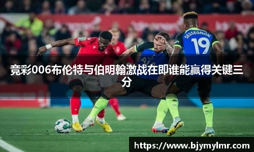 zoty中欧官网